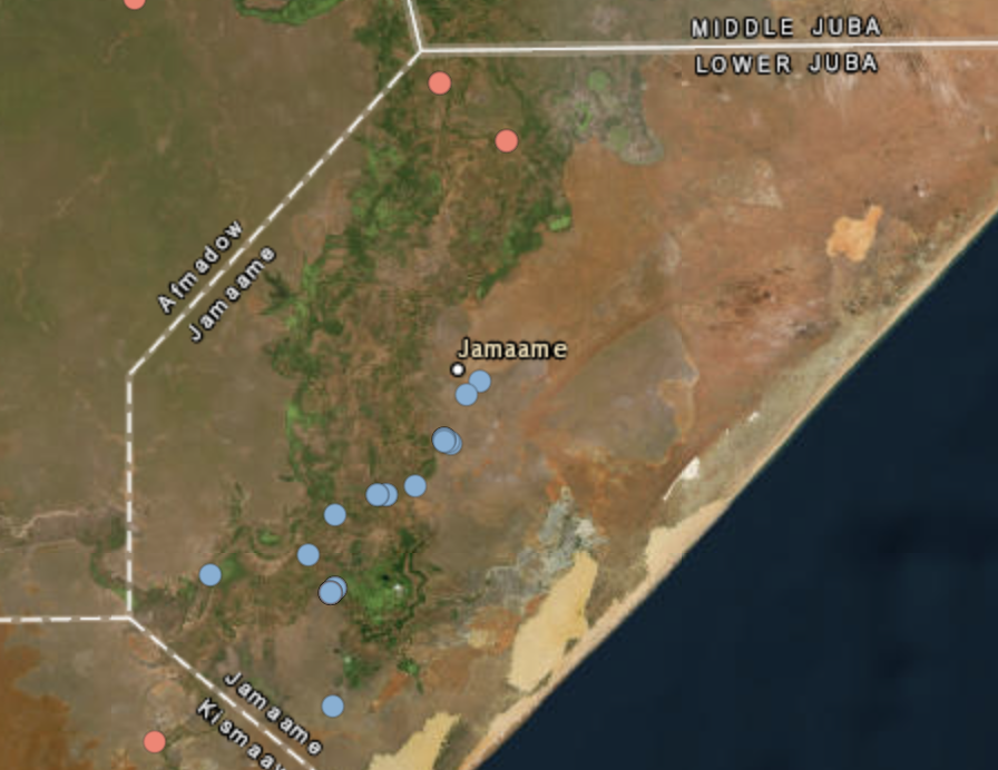 Somali forces kill 80 al-Shabab terrorists in Lower Juba | Geopolitical ...