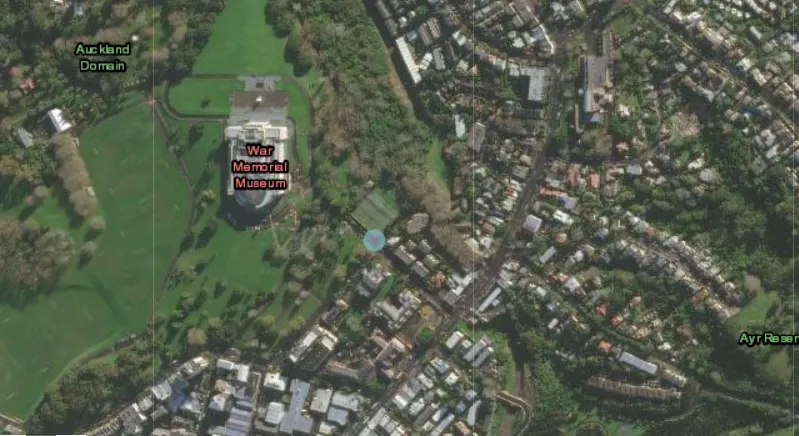 Anti-mandate protesters set up camp in the Auckland Domain