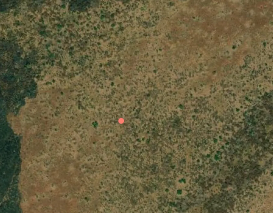 Four people killed during fresh attacks in Abyei