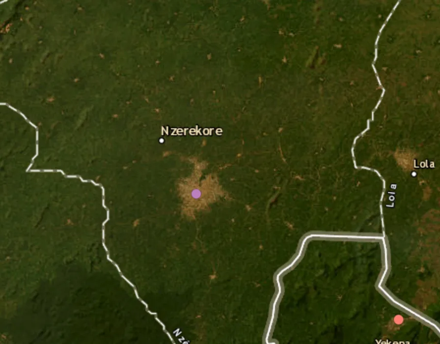 Stampede at Soccur match in Guinea kills 56 people