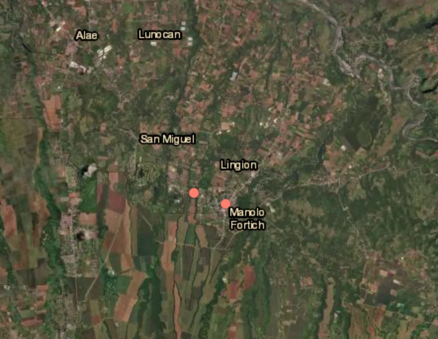 14 NPA rebels surrender to government forces in Bukidnon