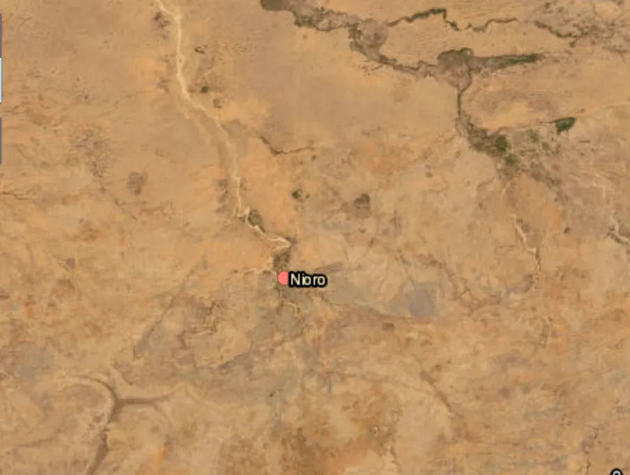 Malian forces kill 30 suspected terrorists in Niro du Sahel area