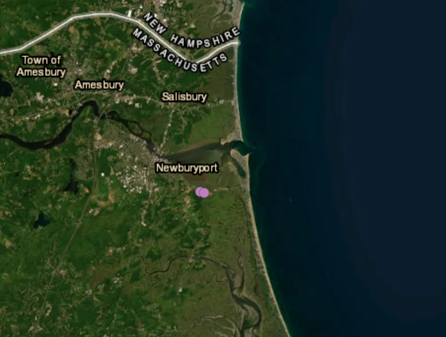 Small plane crashes at Plum Island Airport