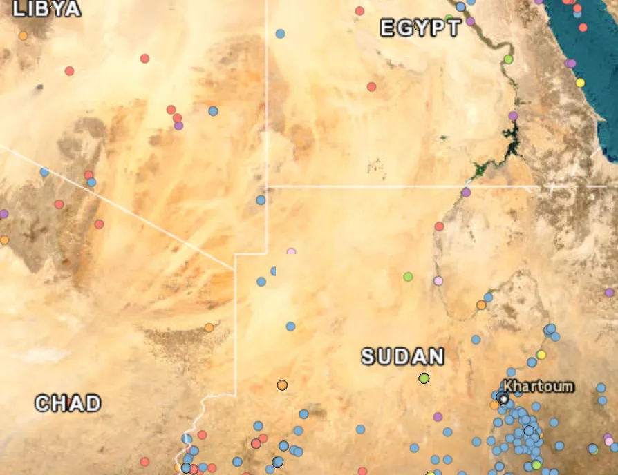 Darfur joint forces repel RSF incursion from Libya