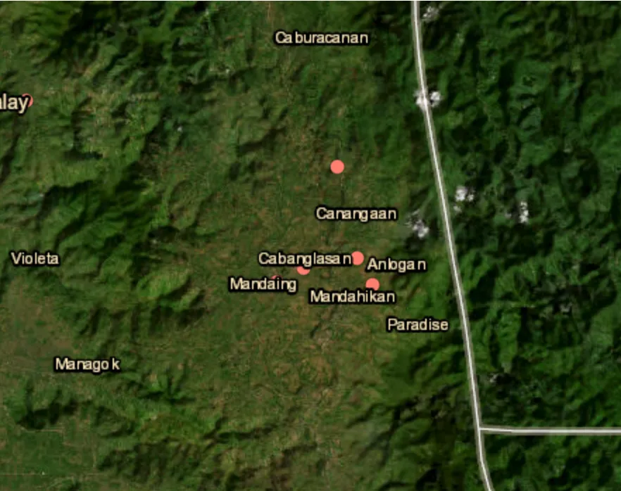 Government forces kill two alleged NPA leaders in Bukidnon